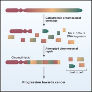 Graphical Abstract Cell A proposito dei Graphical Abstract | Sinsemia